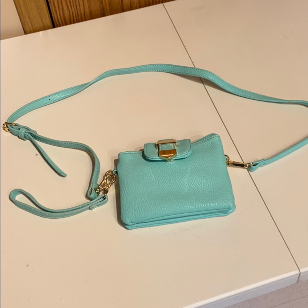 Charming Charlie Beautiful shoulder/wristlet purse